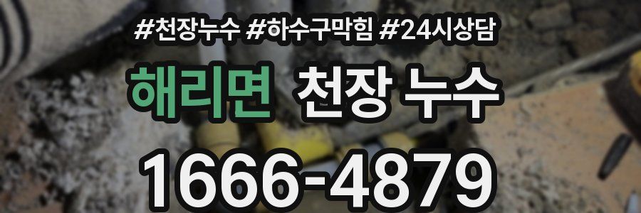 해리면 천장 누수