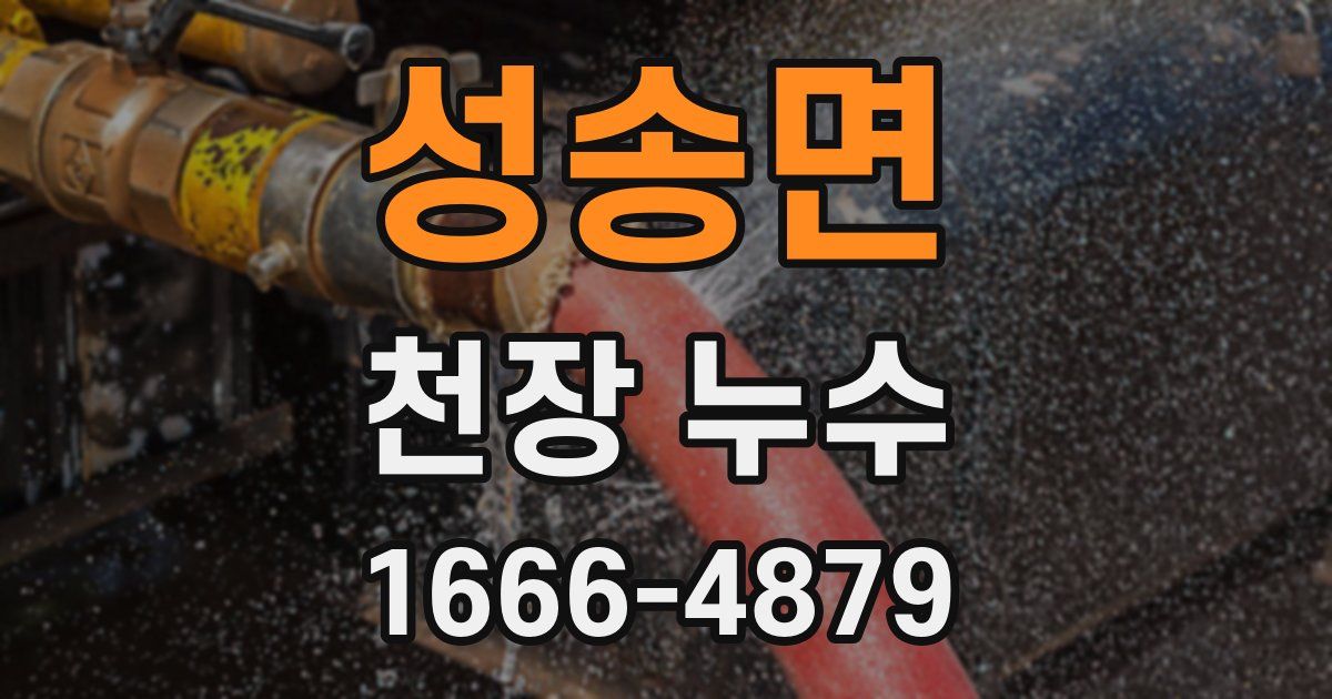 성송면 천장 누수