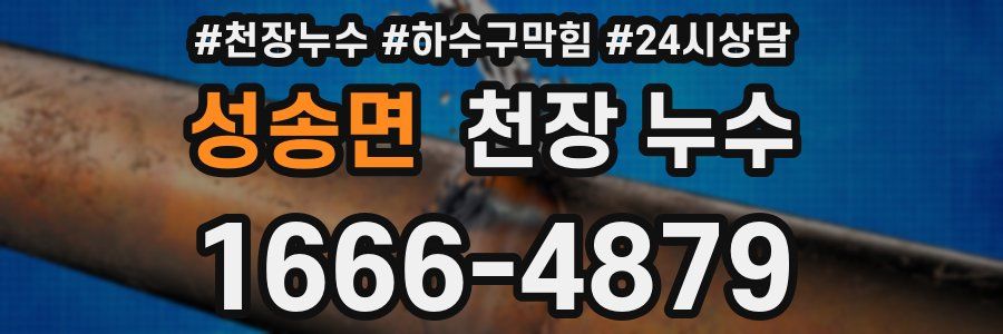 성송면 천장 누수