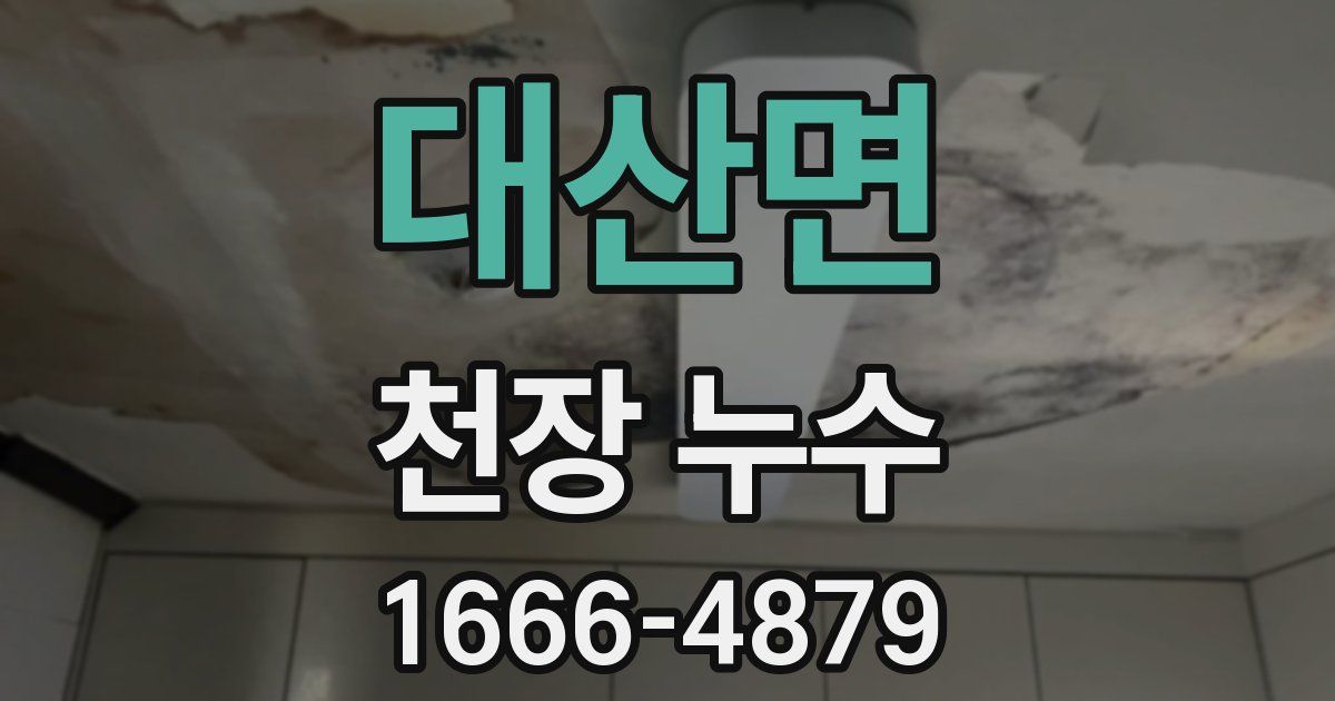 대산면 천장 누수