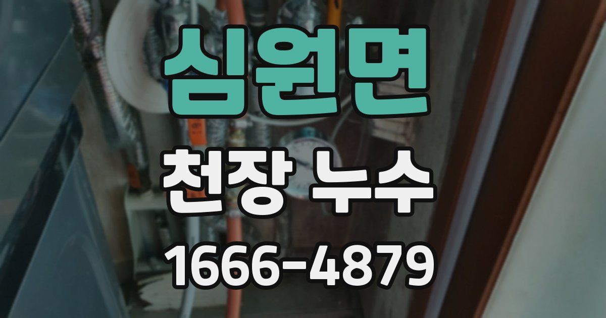 심원면 천장 누수