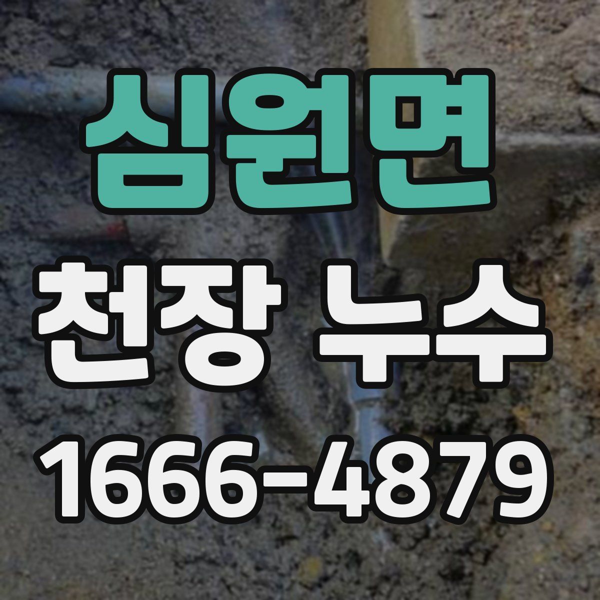 심원면 천장 누수