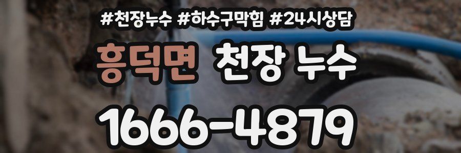 흥덕면 천장 누수