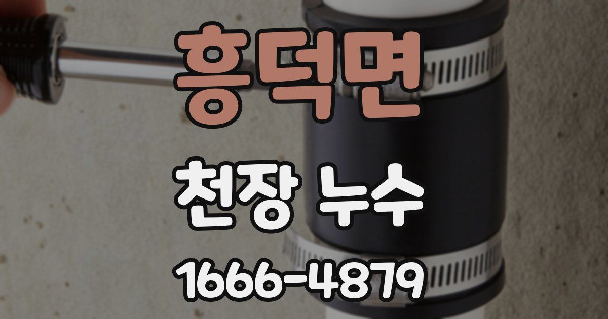 흥덕면 천장 누수
