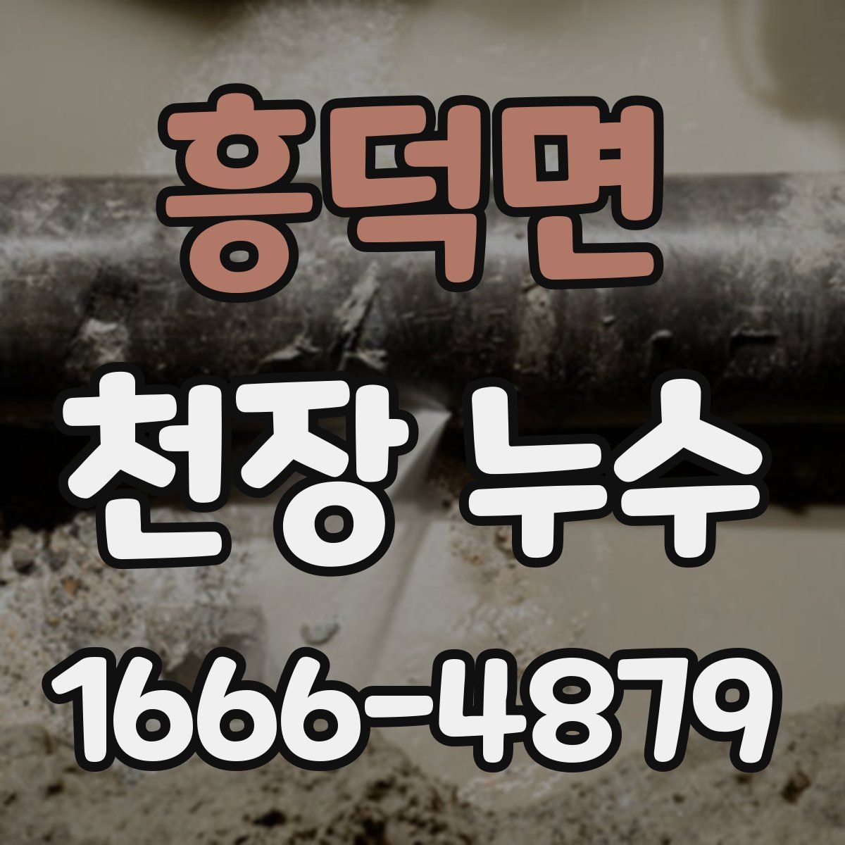 흥덕면 천장 누수