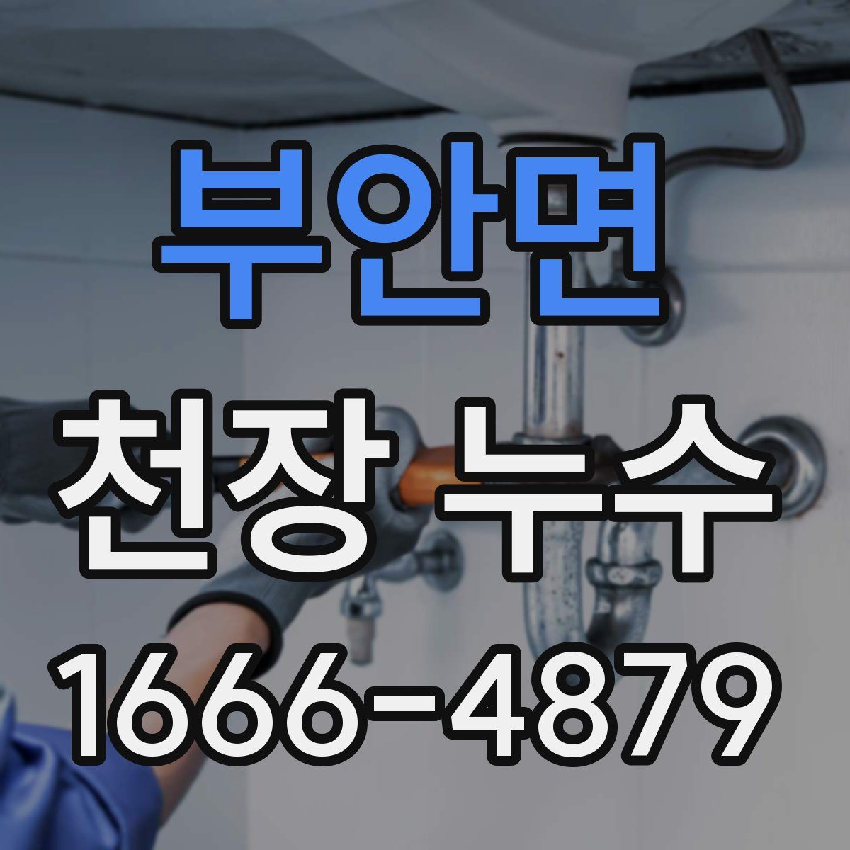 부안면 천장 누수