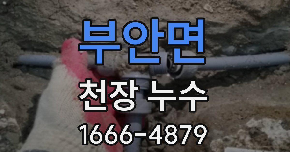 부안면 천장 누수