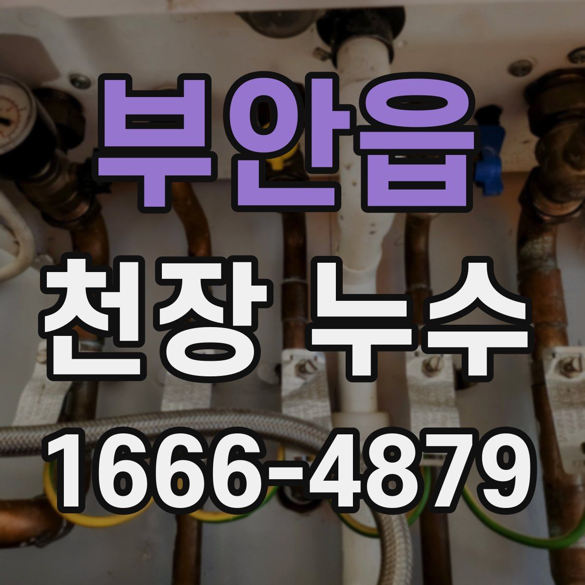 부안읍 천장 누수