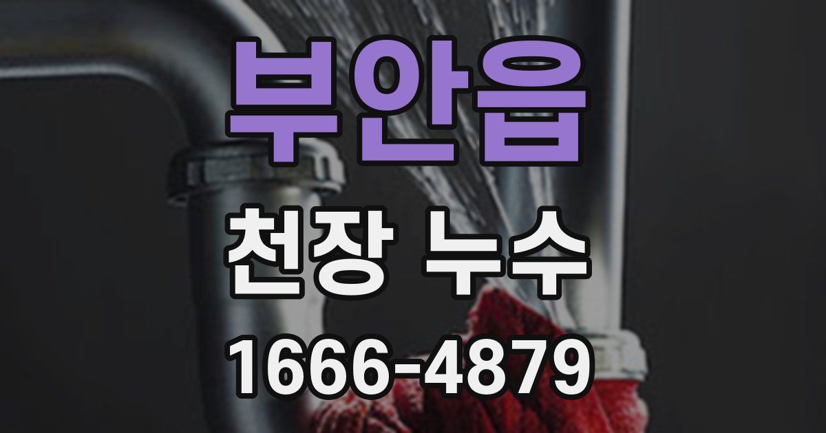 부안읍 천장 누수