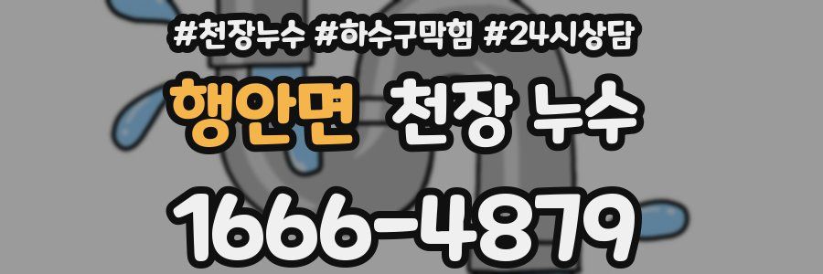 행안면 천장 누수