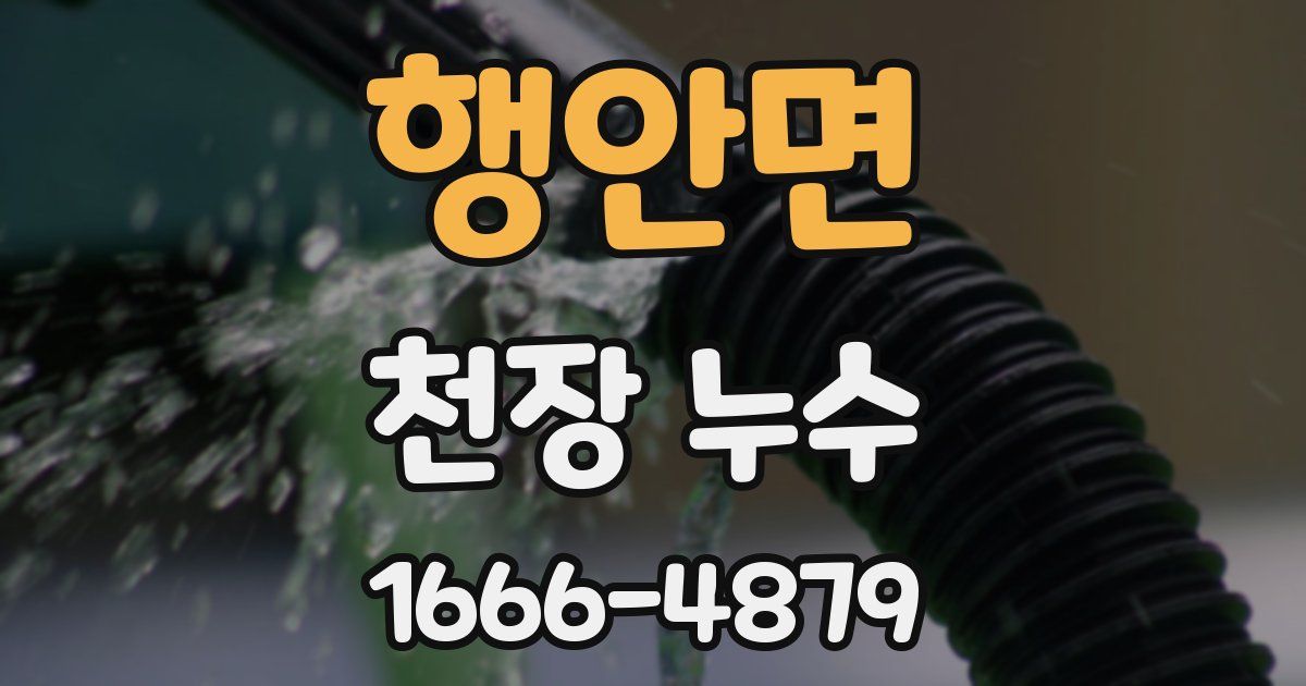 행안면 천장 누수