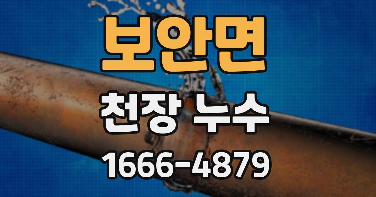 보안면 천장 누수