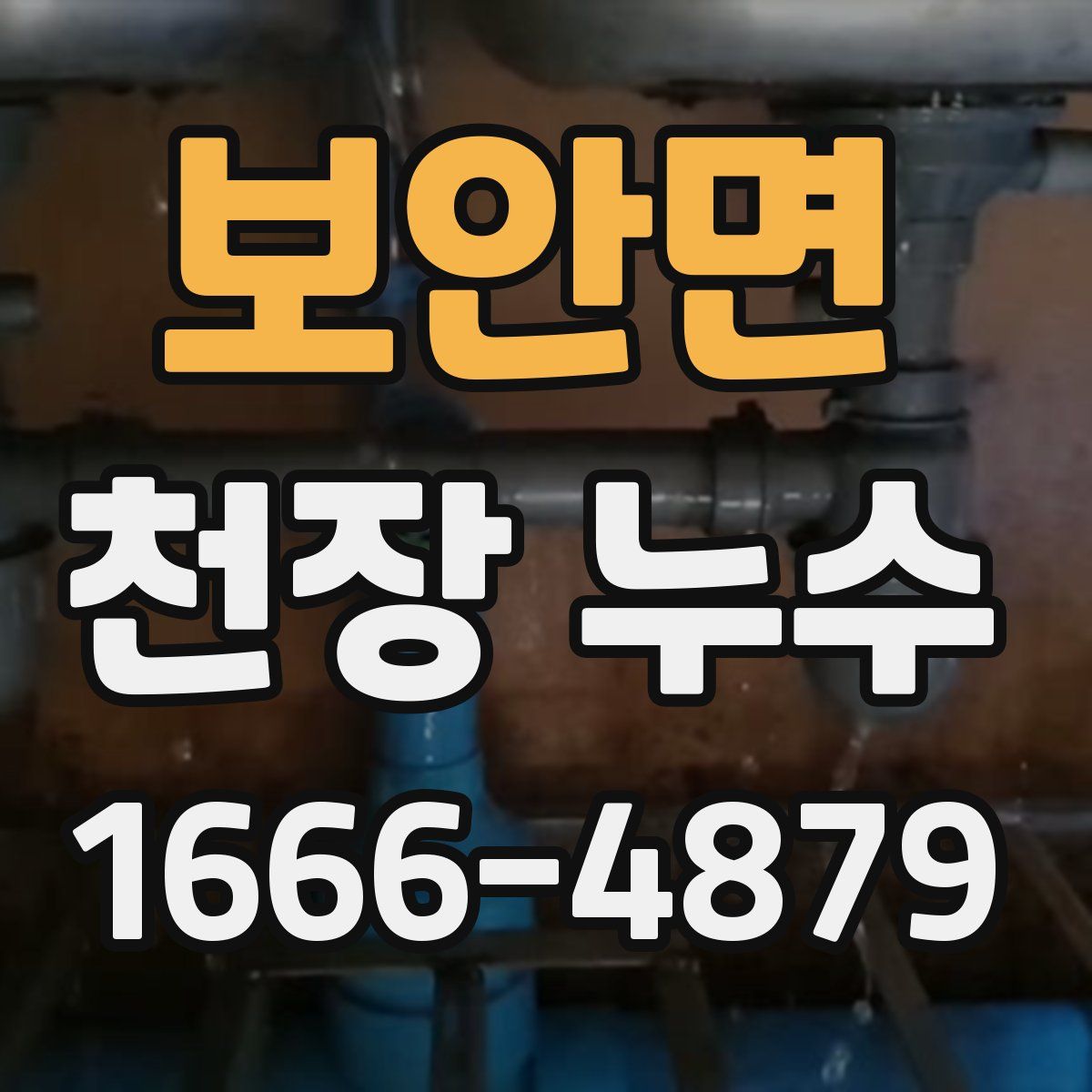 보안면 천장 누수