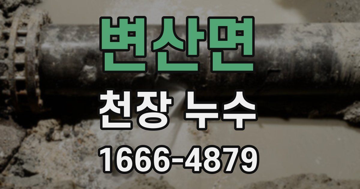 변산면 천장 누수