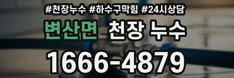 변산면 천장 누수