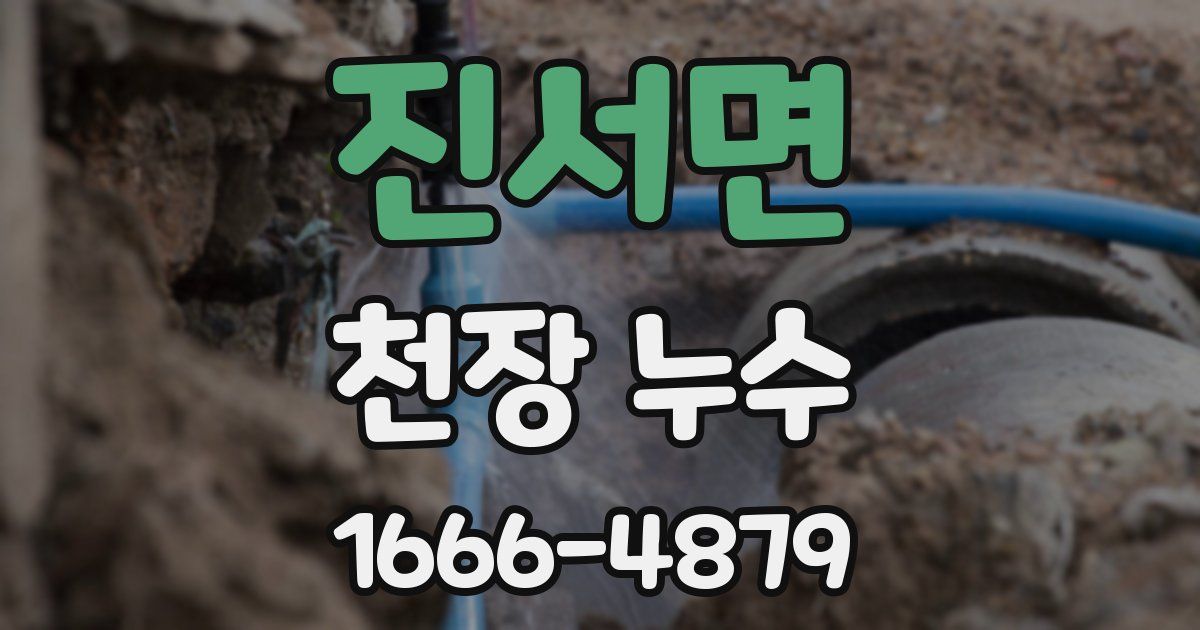 진서면 천장 누수