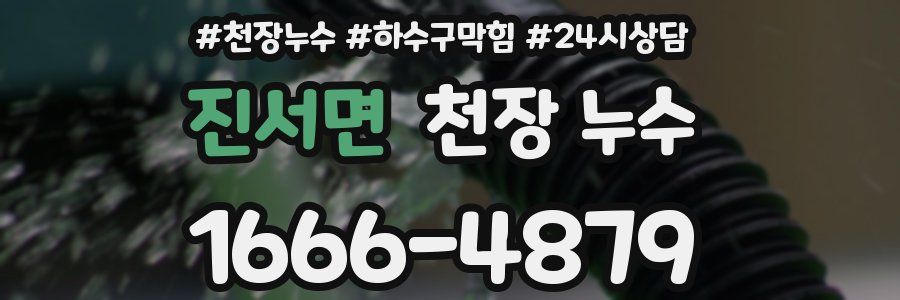 진서면 천장 누수