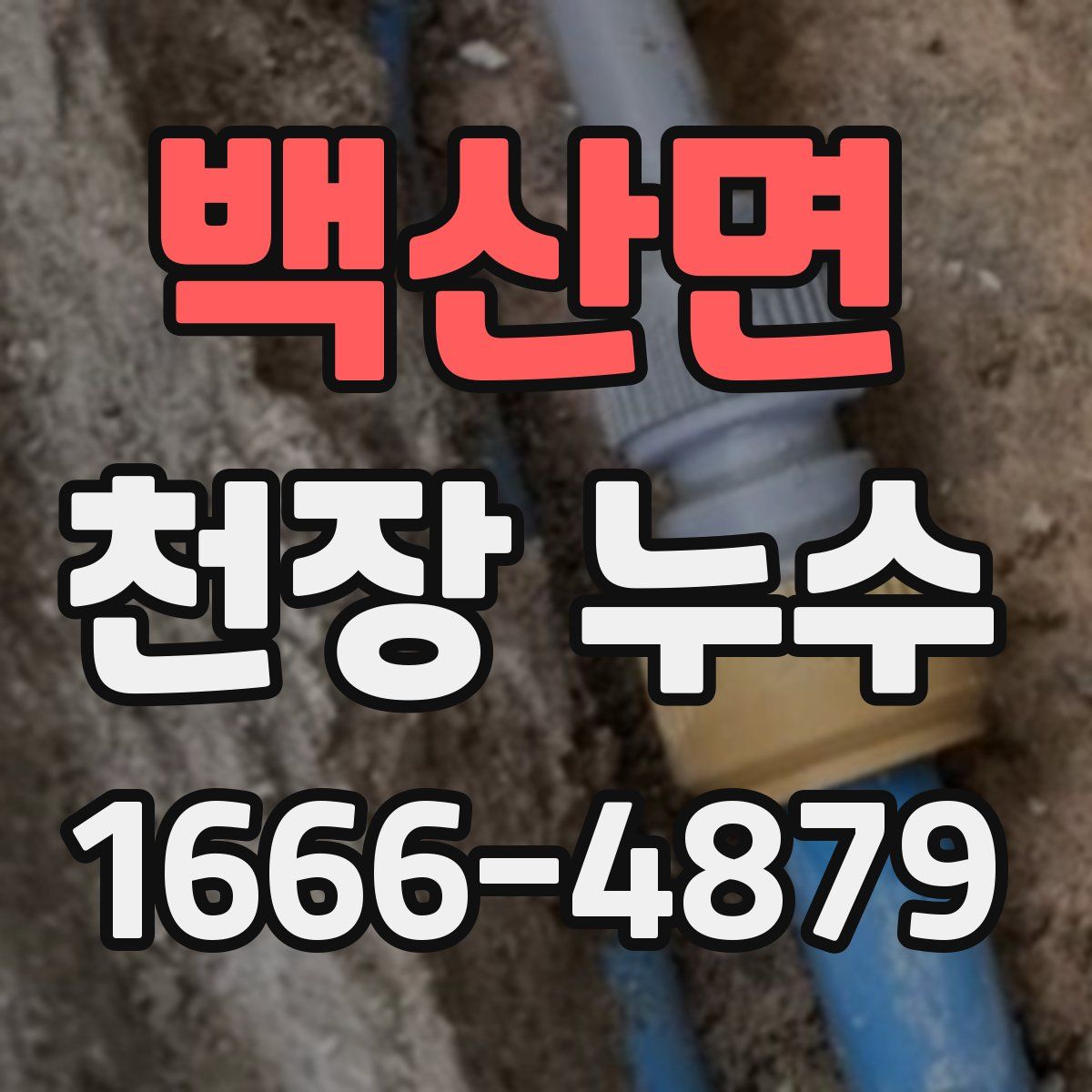 백산면 천장 누수