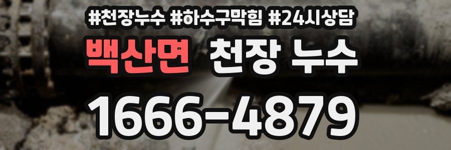 백산면 천장 누수