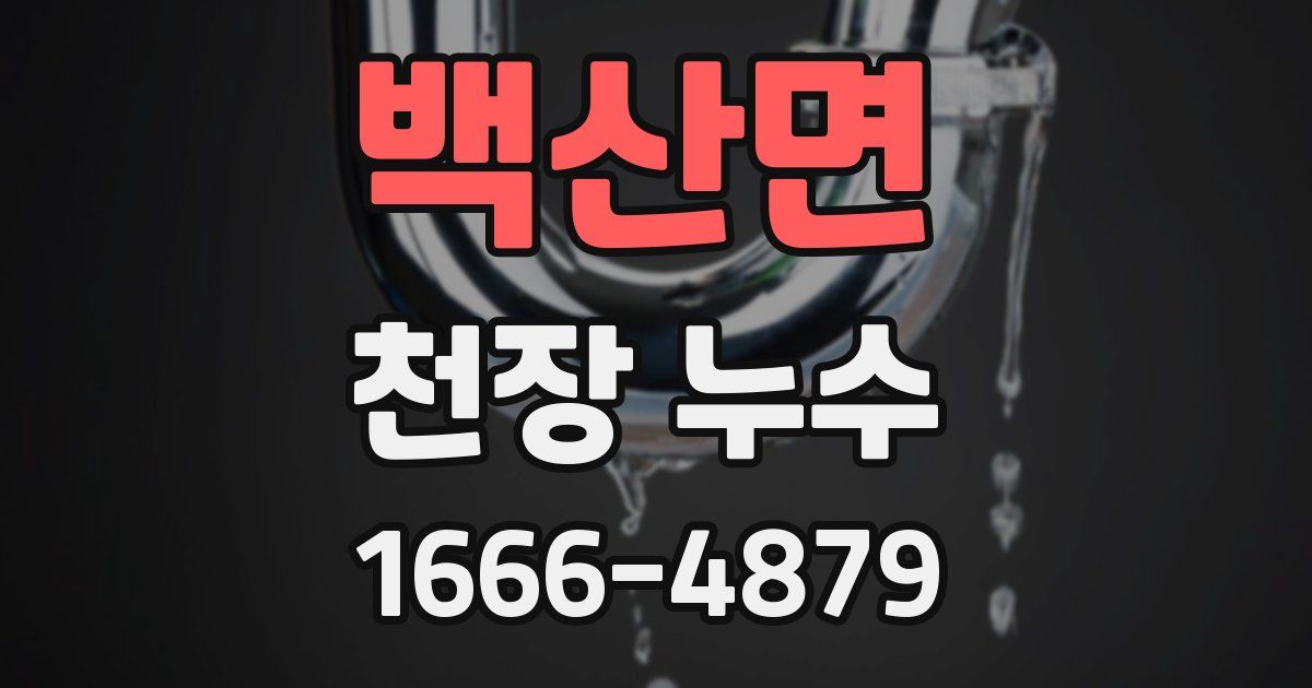 백산면 천장 누수