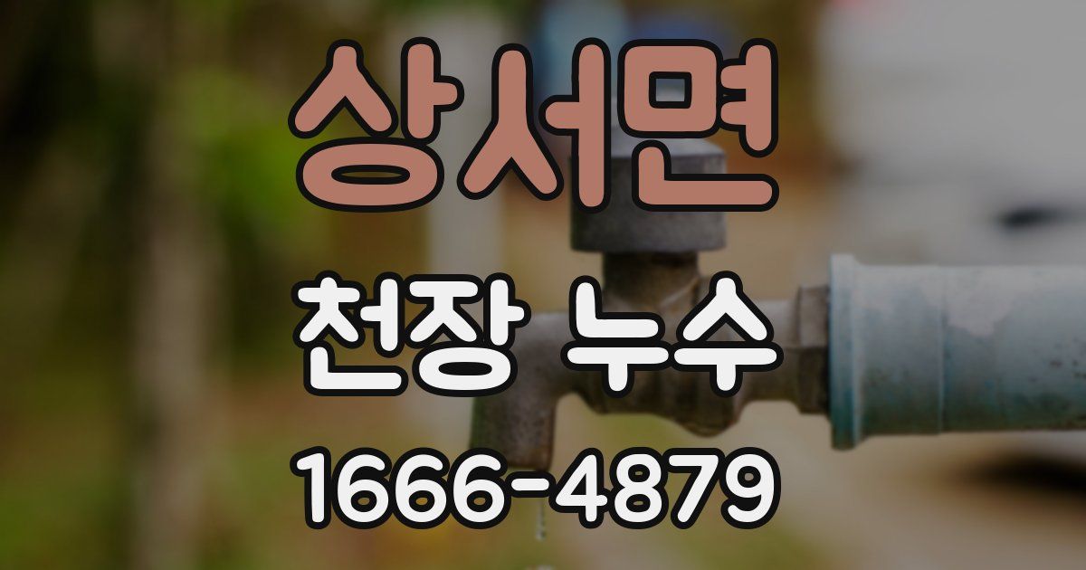 상서면 천장 누수