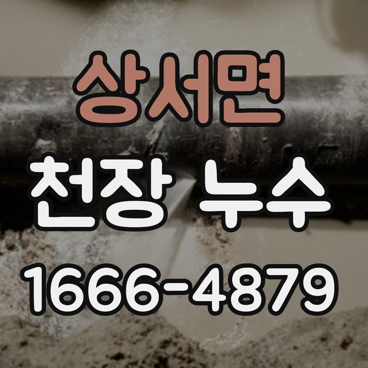 상서면 천장 누수