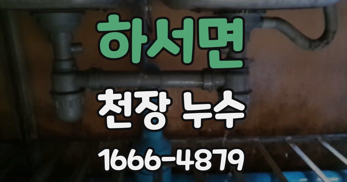 하서면 천장 누수