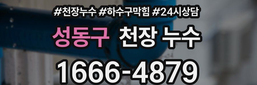 성동구 천장 누수