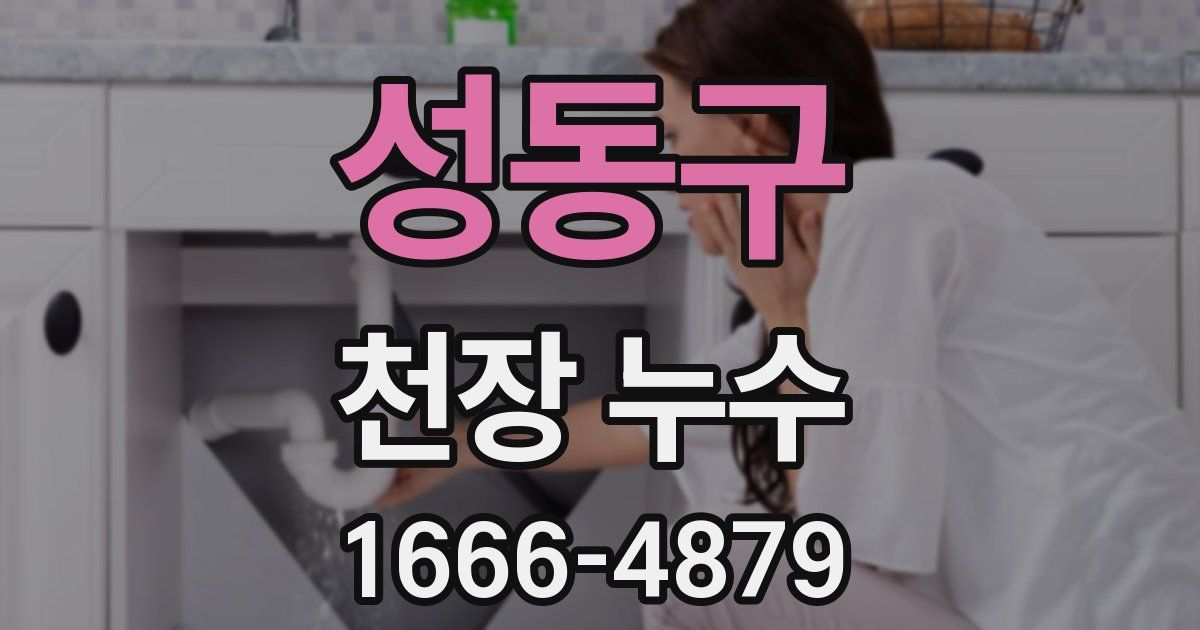 성동구 천장 누수