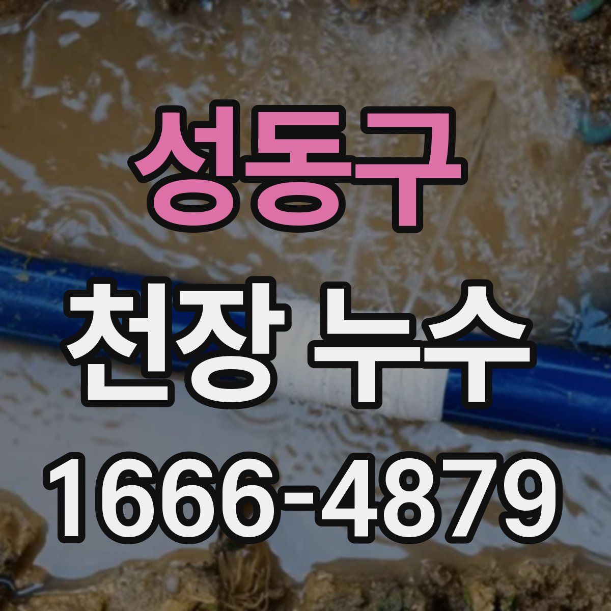 성동구 천장 누수