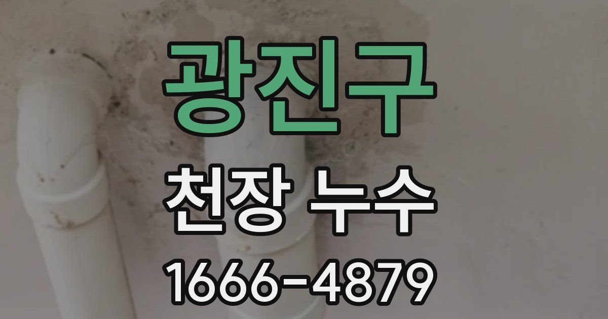 광진구 천장 누수
