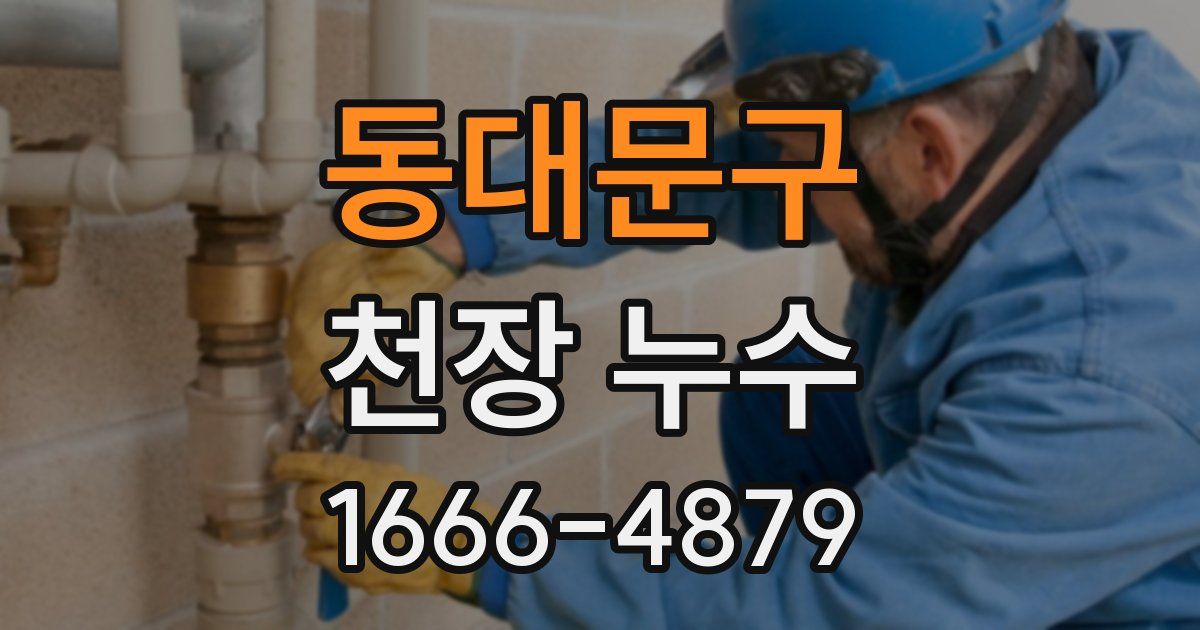 동대문구 천장 누수