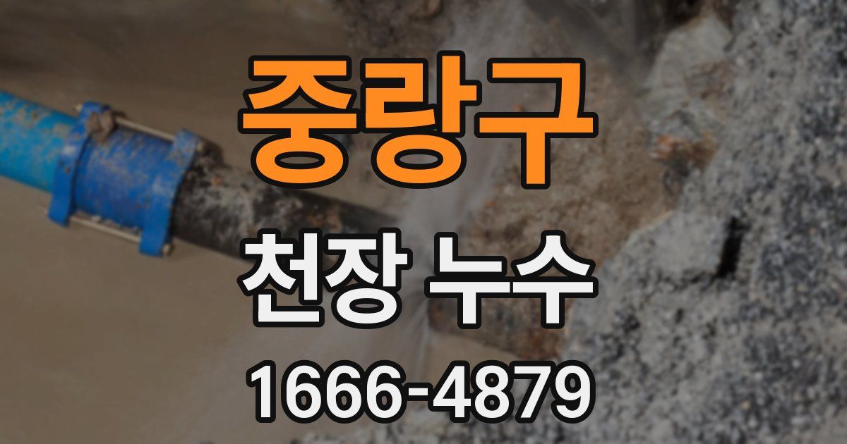 중랑구 천장 누수