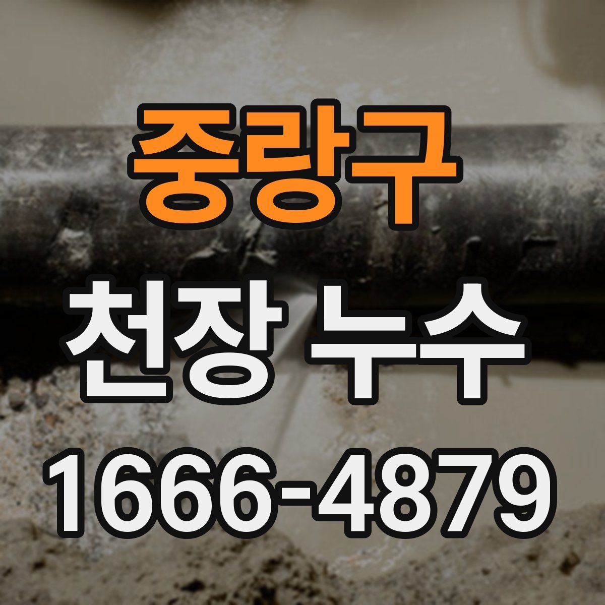 중랑구 천장 누수