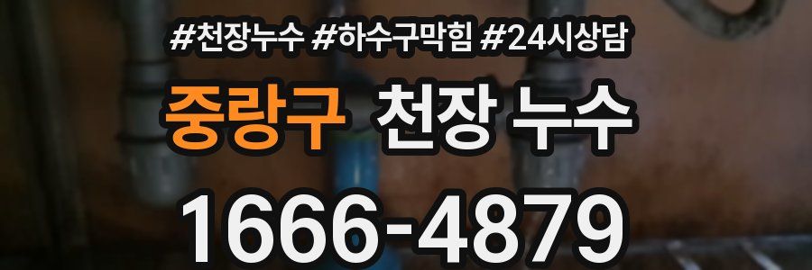 중랑구 천장 누수