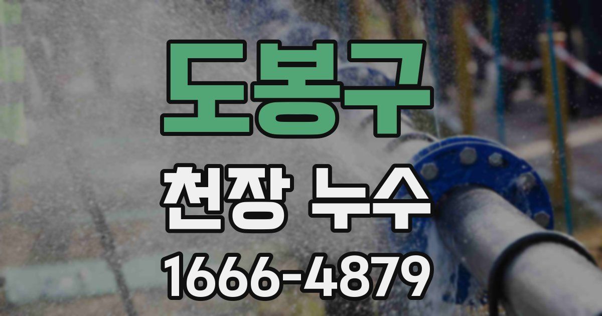 도봉구 천장 누수