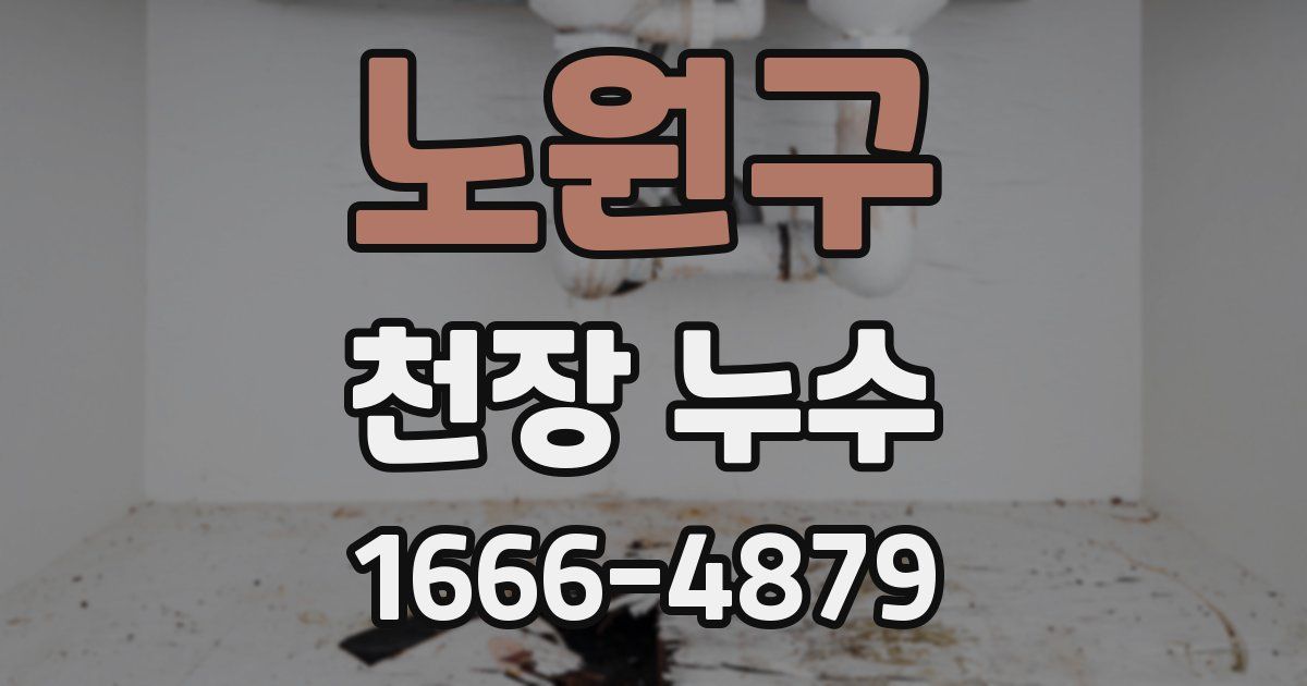 노원구 천장 누수