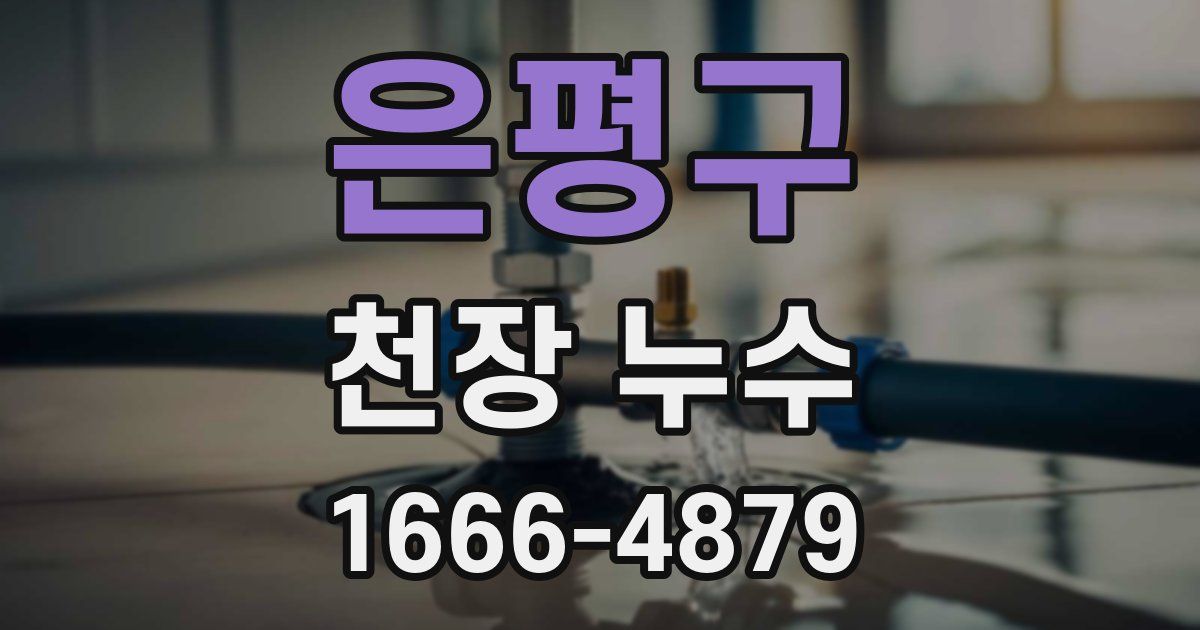 은평구 천장 누수