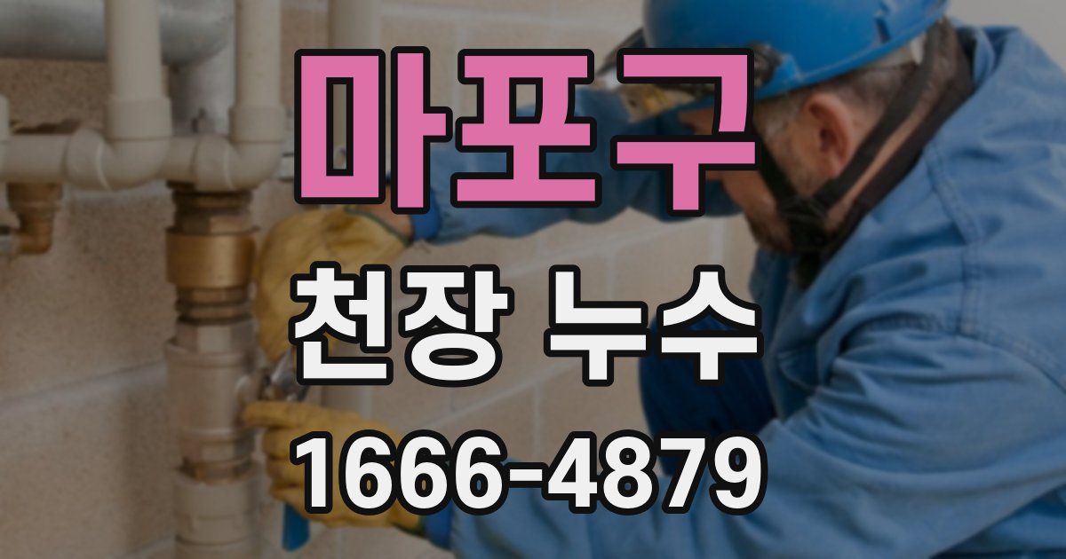 마포구 천장 누수