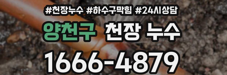 양천구 천장 누수