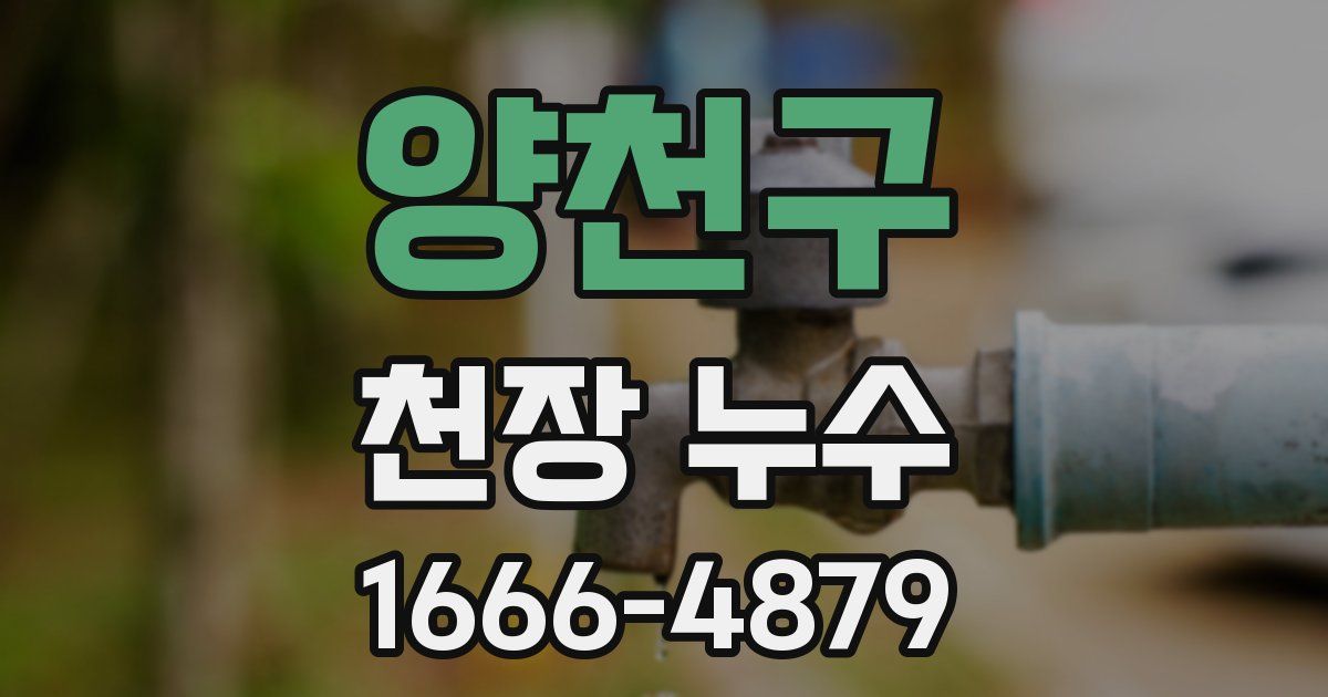 양천구 천장 누수