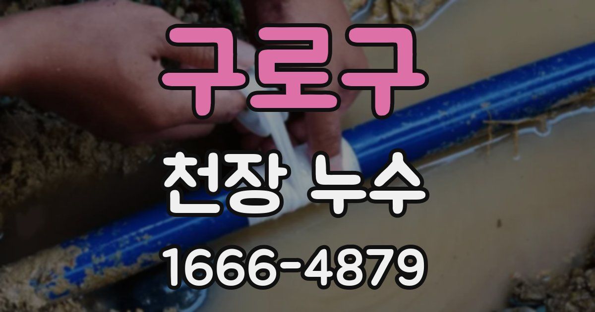 구로구 천장 누수