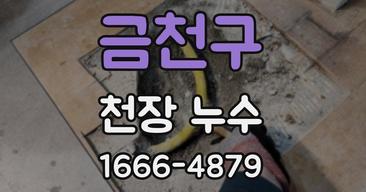 금천구 천장 누수