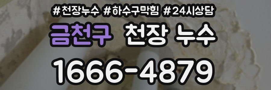 금천구 천장 누수