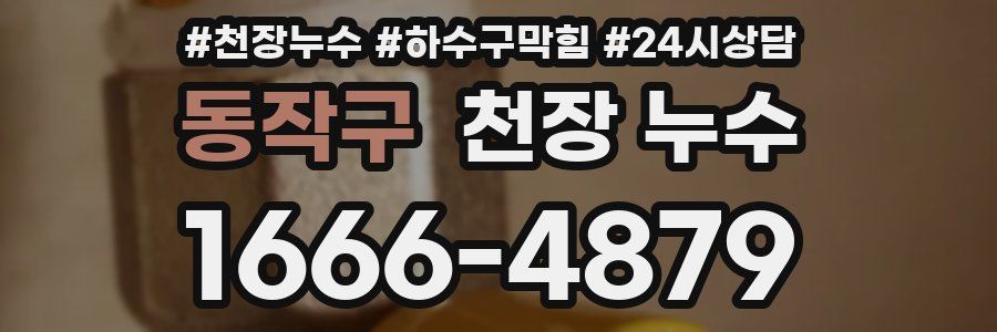 동작구 천장 누수