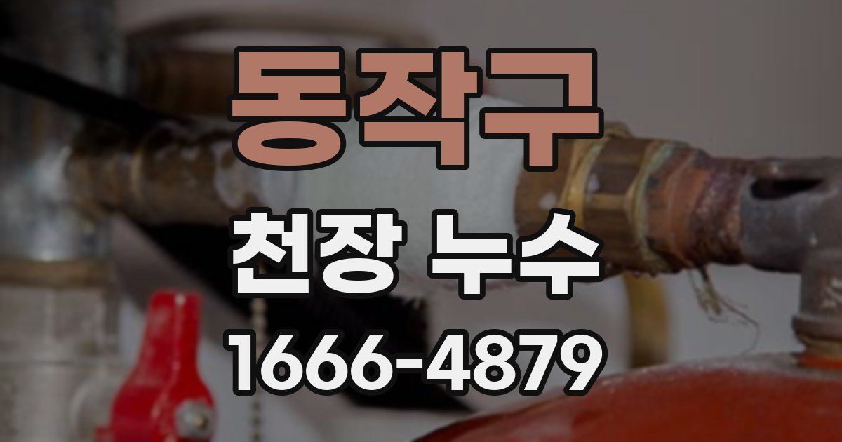 동작구 천장 누수