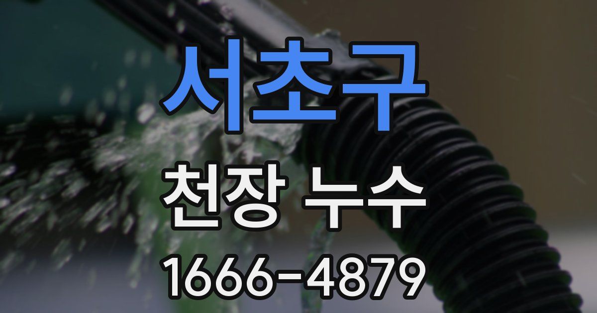 서초구 천장 누수