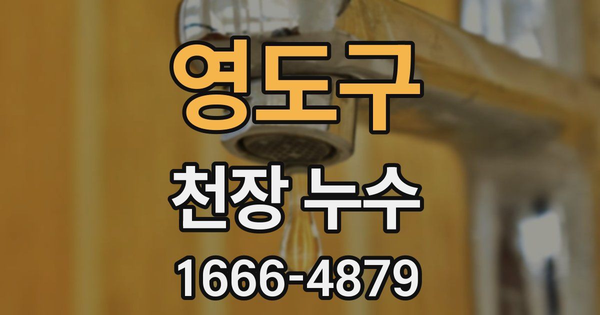 영도구 천장 누수