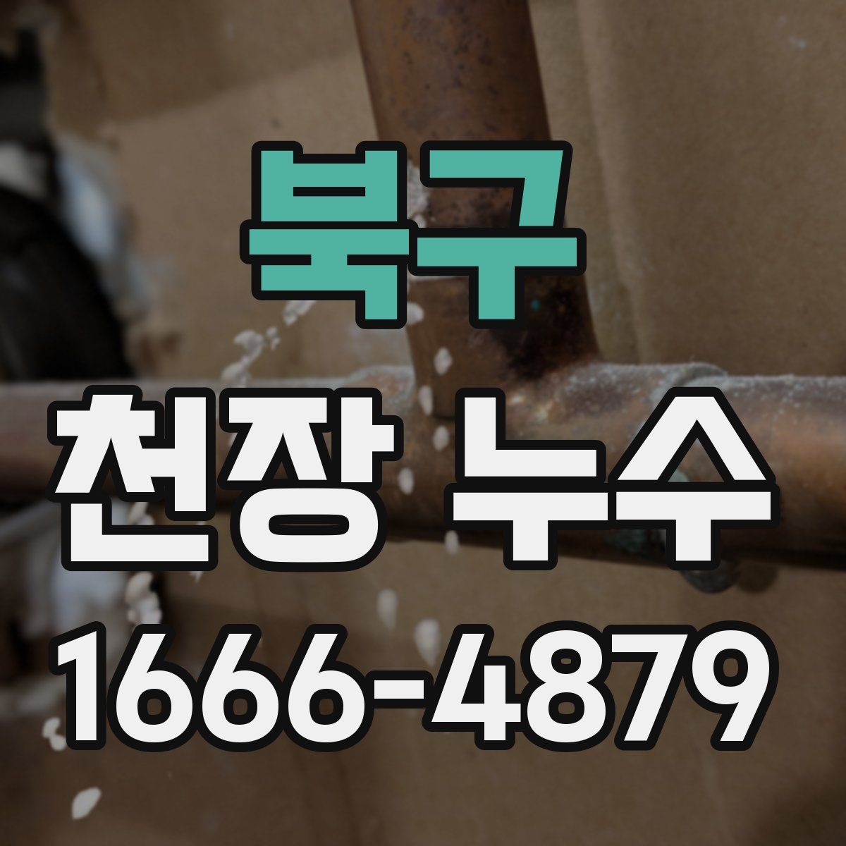 북구 천장 누수