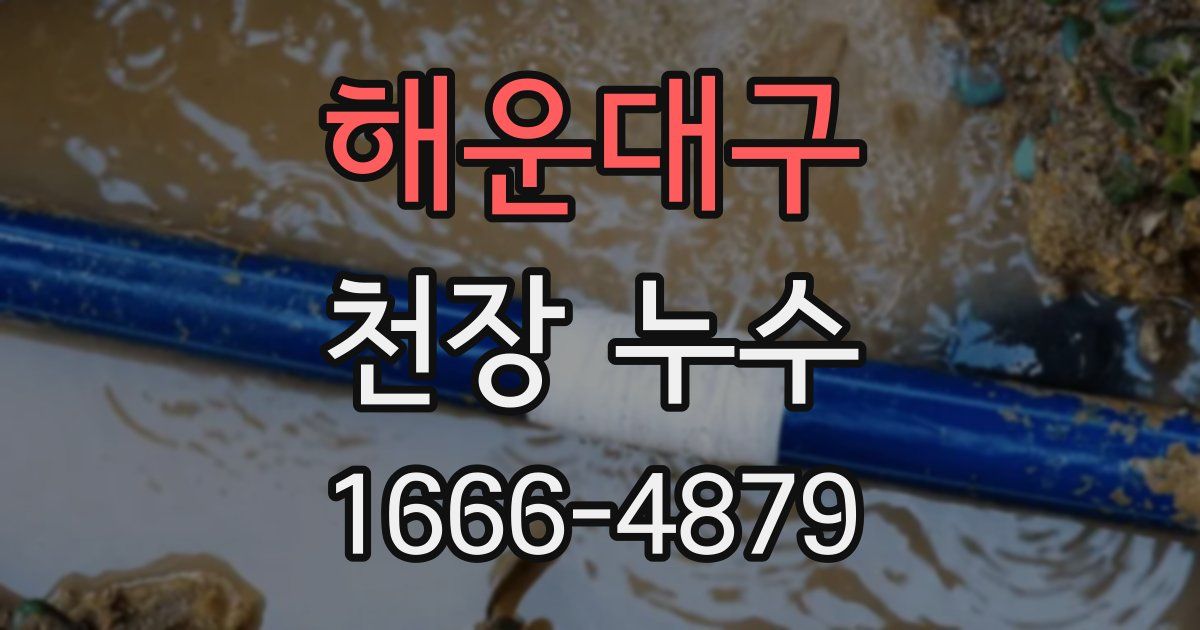 해운대구 천장 누수
